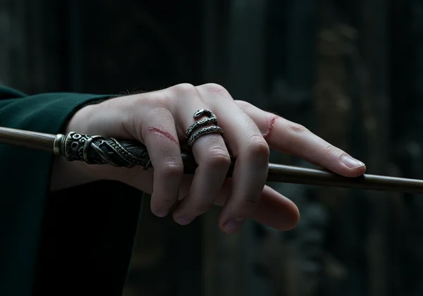 Wizard hand with wand and Slytherin-like ring.